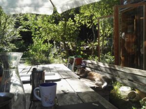 Grün verwachsener Garten mit gedecktem Tisch und Sonnenschirm bei Sonnenschein.