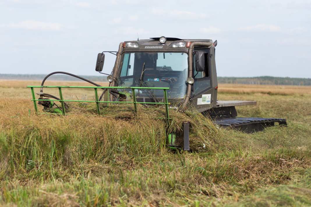 Ein Ernte-Traktor fährt die Ernte auf einem Feld ein