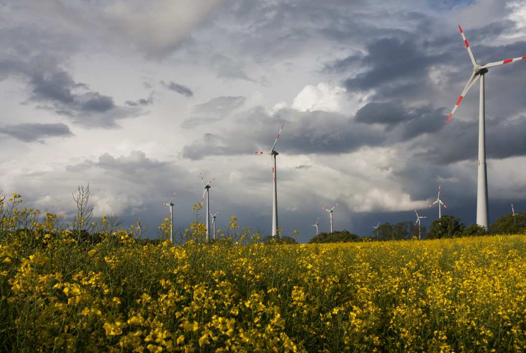 Windräder vor einer dunklen Wolkendecke auf einem Rapsfeld.