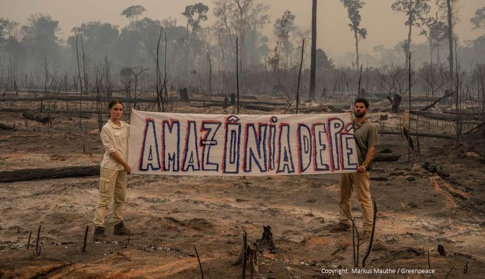 Aktivist:innen im Amazonas Regenwald.