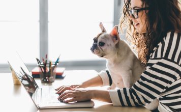 Frau mit Hund am Laptop