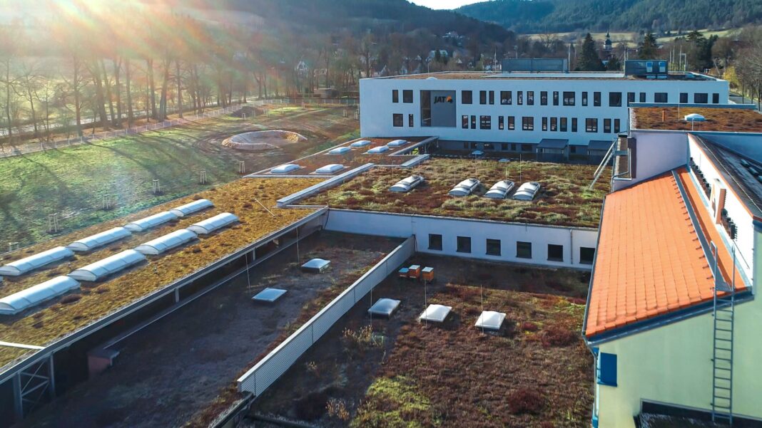 Hauskomplex mit bemoosten und begrüntem Flachdach im Sonnenschein.