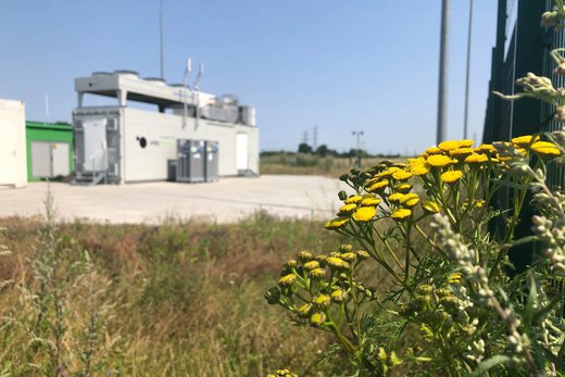 Eine Art Container etwas verschwommen im Hintergrund. Die gelben Blumen davor sind scharf gestellt und besser zu sehen.