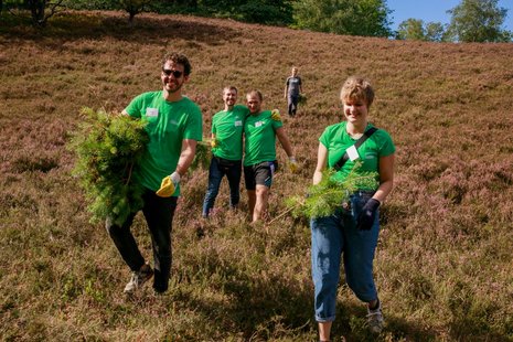 Vier Personen in grünen T-Shirts laufen eine Heidelandschaft entlang, lachen und tragen kleine Baum-Setzlinge.