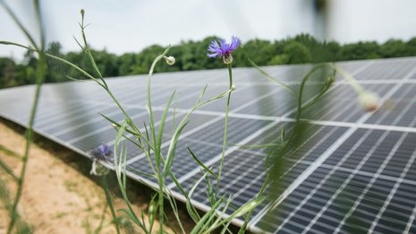 Nahaufnahme einer PV Anlage die sich auf einem Feld befindet.