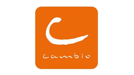 Logo: Cambio