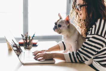 Eine Frau sitzt an einem Laptop und hat einen kleinen Hund auf dem Schoß, der auf den Bildschirm schaut.