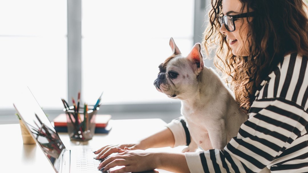 Eine Frau sitzt an einem Laptop und hat einen kleinen Hund auf dem Schoß, der auf den Bildschirm schaut.
