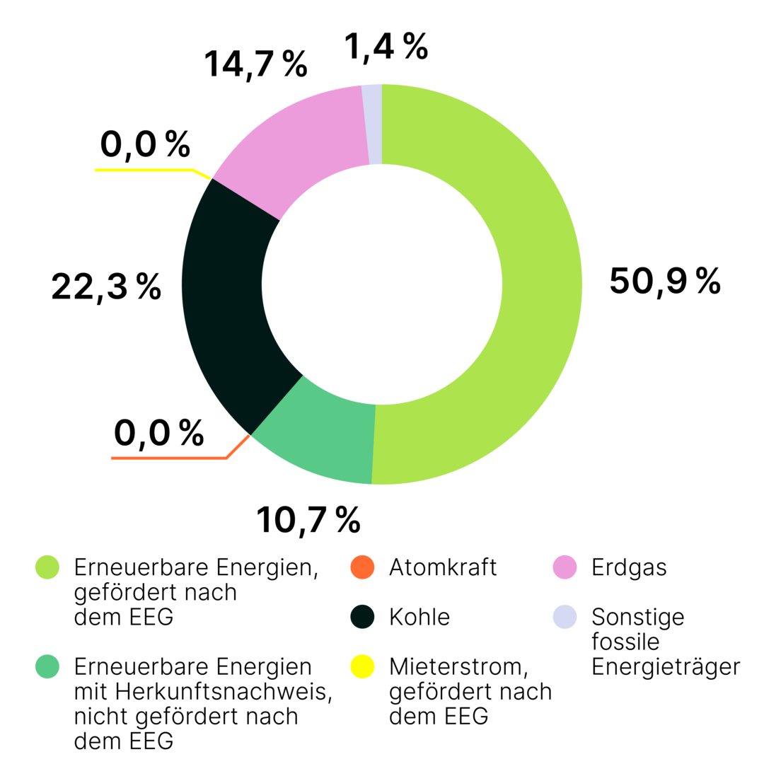 Infografik für den bundesdeutschen Strommix. Größter Anteil aus erneuerbaren Energien. Zweitgrößter aus Kohlekraftwerken.