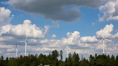 Feld und Wald, dahinter sind Windräder zu sehen