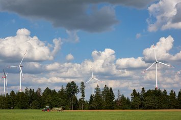 Feld und Wald, dahinter sind Windräder zu sehen