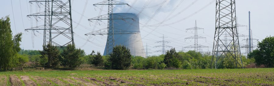 Feld mit einem Atomkraftwerk und Freileitungmasten im Hintergrund.