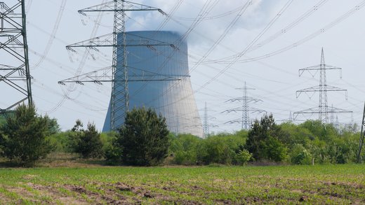Feld mit einem Atomkraftwerk und Freileitungmasten im Hintergrund.