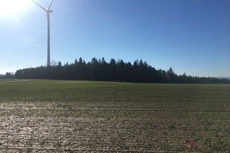 Park mit Windkraftanlage im Hintergrund.