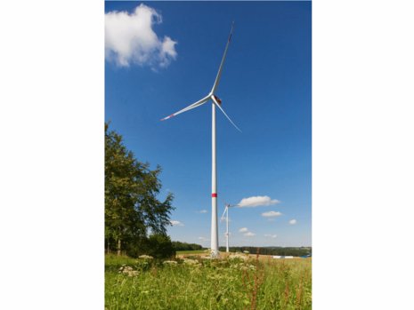 Zwei Windräder auf einem Blumenfeld.