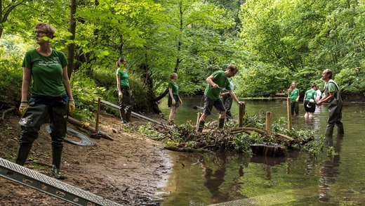 Green Plane Energy-Mitarbeiter tragen wasserdichte Stiefel und reinigen einen Fluss.