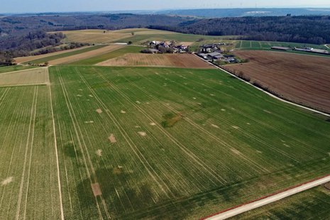 Leeres begrüntes Feld aus Vogelperspektive aufgenommen.