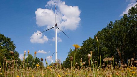 Eine Windenergieanlage umgeben von hohen Bäumen und einer Blumenwiese. Die Kamera nimmt aus einer Froschperspektive auf. Der Himmel ist blau mit einzelnen Wolken.