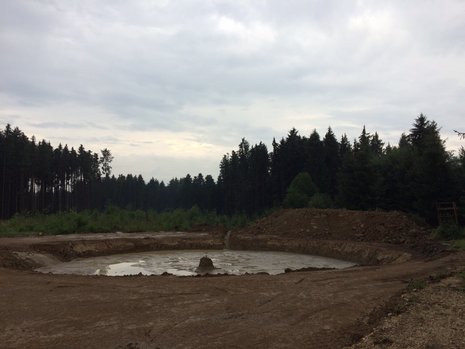 Ausgehobene Erdgrube, in der sich Wasser gesammelt hat vor Waldgebiet