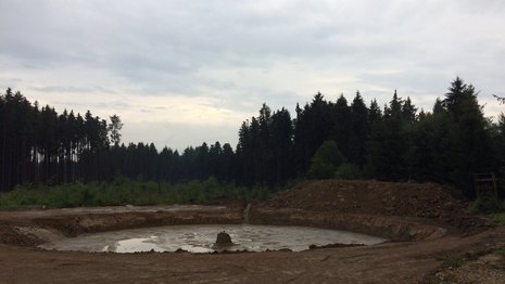 Ausgehobene Erdgrube, in der sich Wasser gesammelt hat vor Waldgebiet