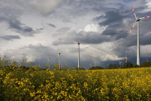 Windräder vor einer dunklen Wolkendecke auf einem Rapsfeld.
