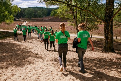 Eine große Gruppe Menschen in grünen T-Shirts läuft einen sonnigen Weg entlang. Am Ende sieht man eine Heide-Landschaft.