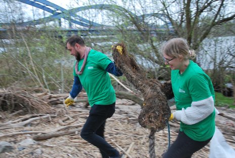 Zwei Personen in grünen T-Shirts heben gemeinsam einen großen Ast während einer Müllsammelaktion nahe eines Flusses. Im Hintergrund ist eine blaue Brücke und Wald zu sehen.