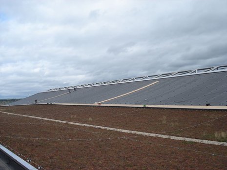 Ein teilweise begrüntes Dach. Der äußere Teil des Hängedachs ist mit vielen, quadratischen Metallstützen bestückt.