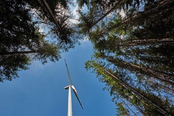 Eine Windkraftanlage steht in einem Wald, umgeben von hohen Bäumen unter einem klaren, blauen Himmel.