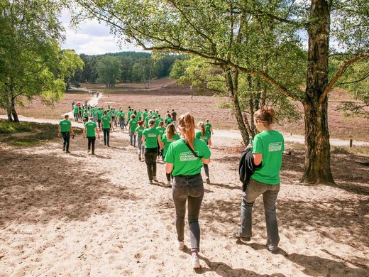 Eine Gruppe Menschen von hinten aufgenommen. Sie tragen grünen T-Shirts mit dem Logo von Green Planet Energy und laufen durch eine Heidelandschaft.