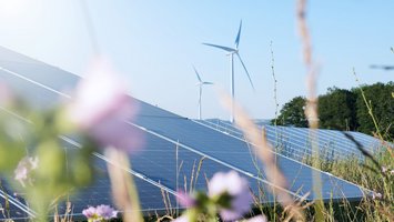 Wildblumenwiese um Photovoltaik- und Windkraftanlagen