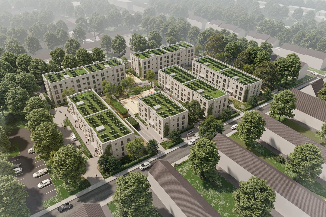 Digitaler Render, in dem sechs Häuser zu sehen sind. Ihre Dächer sind begrünt und mit Solaranlagen ausgestattet.
