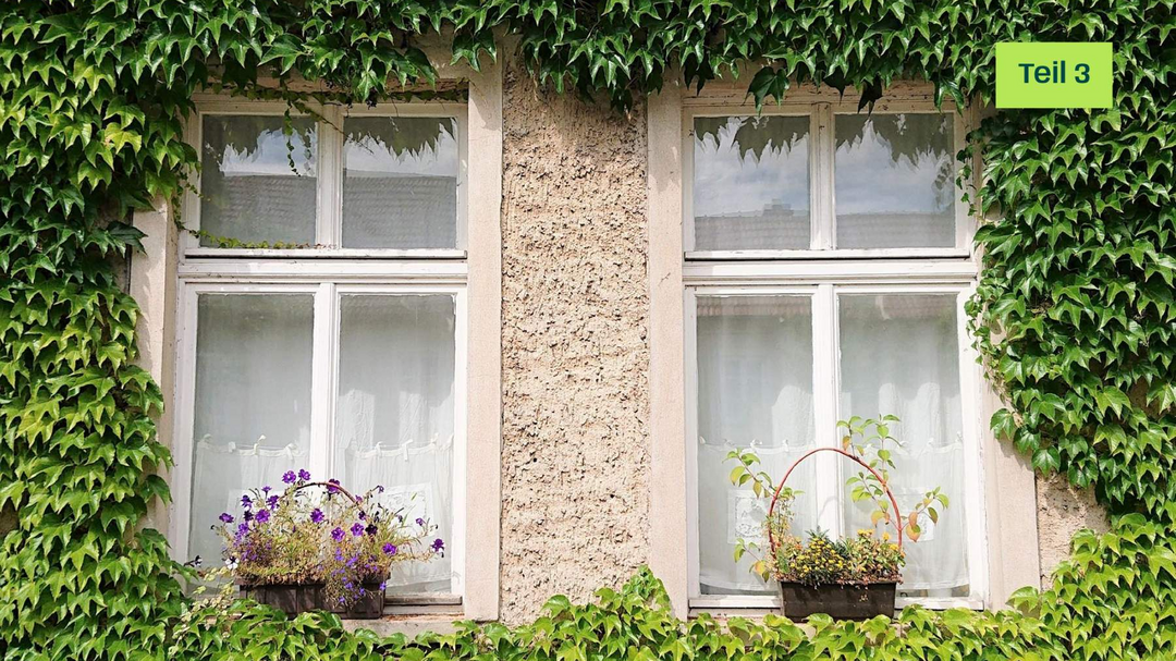 Fenster im Altbau mit Blumenkörben davor. An der Hauswand rankt Efeu empor.