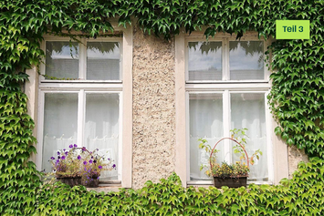 Fenster im Altbau mit Blumenkörben davor. An der Hauswand rankt Efeu empor.