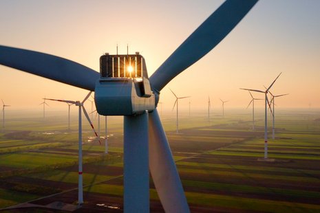 Windräder im Sonnenuntergang über einem Feld.