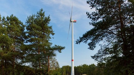 Ein Windrad inmitten eines Waldes.