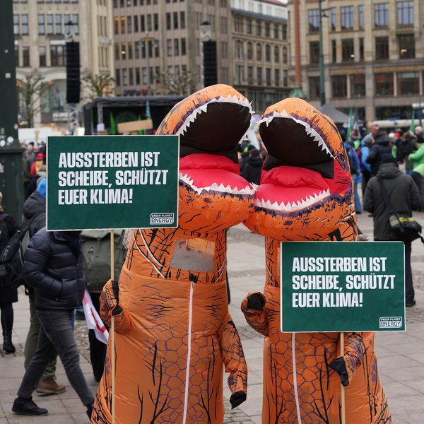 Demonstrant:innen von Green Planet Energy als Dinosaurier verkleidet beim Klimastreik in Hamburg