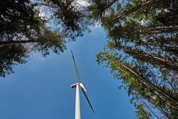 Windenergieanlage von unten nach oben fotografiert mit Wald