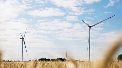 Zwei Windräder stehen über einem goldenen Getreidefeld.