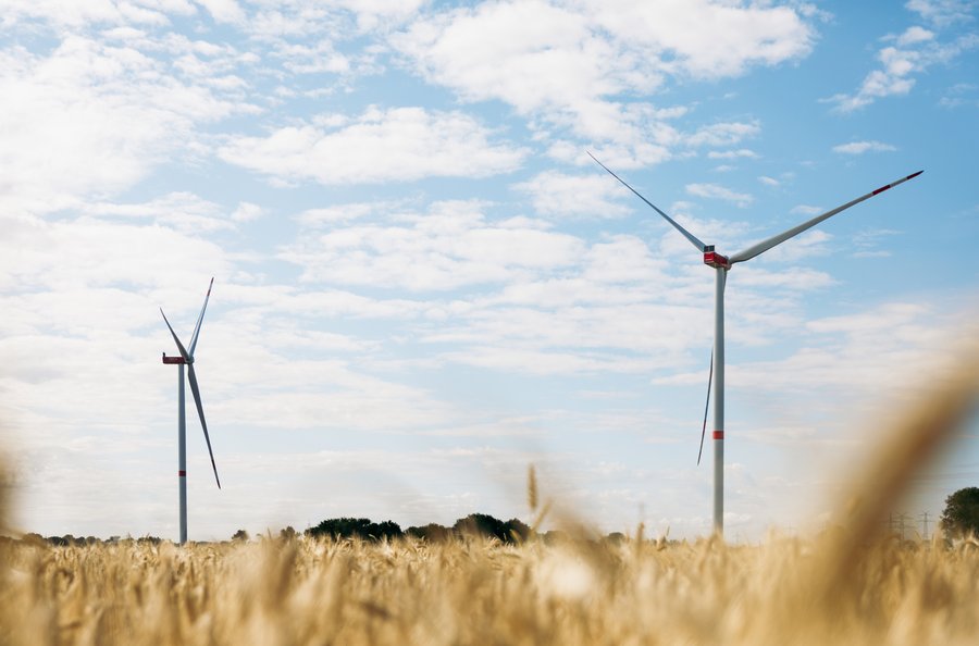 Zwei Windräder stehen über einem goldenen Getreidefeld.