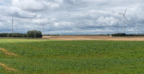 Naturlandschaft mit Grünfläche vor bewölktem Himmel, im Hintergrund stehen mehrere Windkraftanlagen