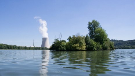 Ein See mit grünem Ufer und im Hintergrund ein Atomkraftwerk mit Dampfwolke über dem Kühlturm