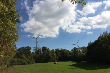 Windkraftanlagen im Hintergrund eines Feldes.