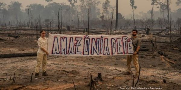 Naturfotograf Markus Mauthe und Journalistin Louisa Schneider für das neue Greenpeace Projekt grad.jetzt vor einem abgebrannten Regenwald im Amazonas.